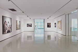 gallery1